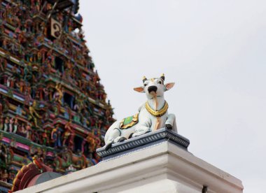 Ayrıntılar Hint Kapaleeswarar Tapınağı, Chennai, Hindistan