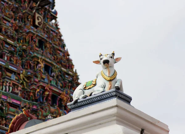 Detalhes do templo indiano de Kapaleeswarar, Chennai, Índia — Fotografia de Stock