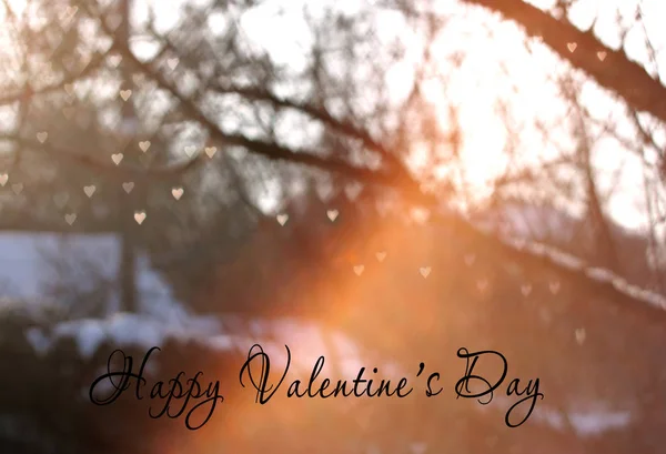 Heart bokeh on the tree with sunset light, Valentines day greeting card background, greeting card — Stock Photo, Image