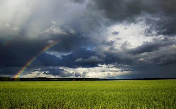 stock image green field and rainbow under beautiful sky on the way from Karaganda to Astana, Kazakhstan