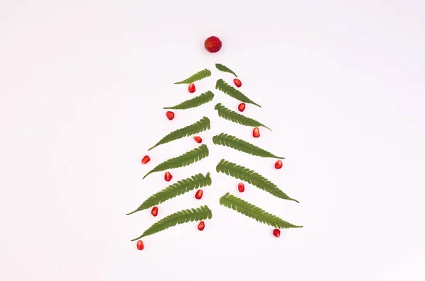 Christmas tree made of fern leaves on white background — Stock Photo, Image
