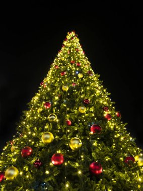 Parlayan ışıklar ile güzel Noel ağacı