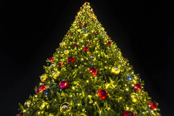 Beautiful christmas tree with lights glowing — Stock Photo, Image