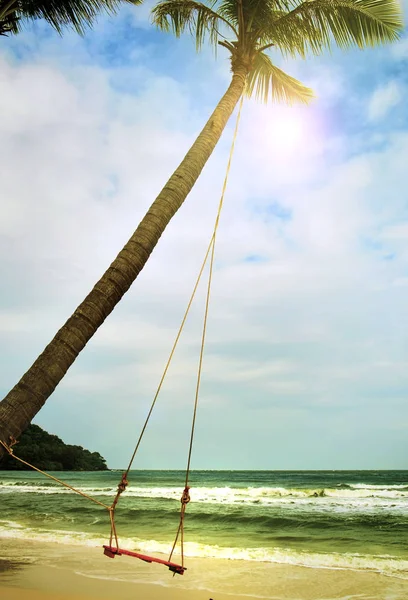 Гойдалки звисаючі з пальмових дерев на пляжі. Фу Куок острів, Vi — стокове фото