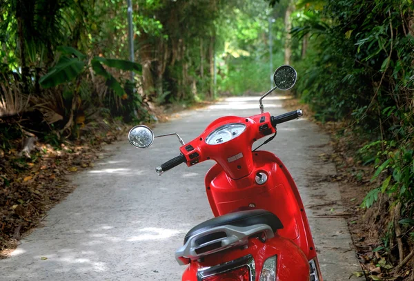 Red motorbike parked in green shady street.