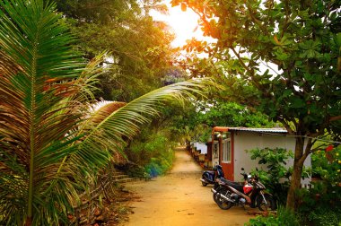 Yeşil gölgeli tropikal sokak ve güzel gün batımını, motosiklet.