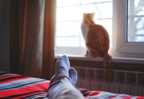 Tumbado y relajado en la cama en un día soleado, gato sentado en la ventana . — Foto de Stock