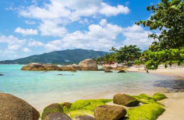 Tayland 'da büyük taşları ve turkuaz suyu olan güzel tropik plaj, Koh Samui