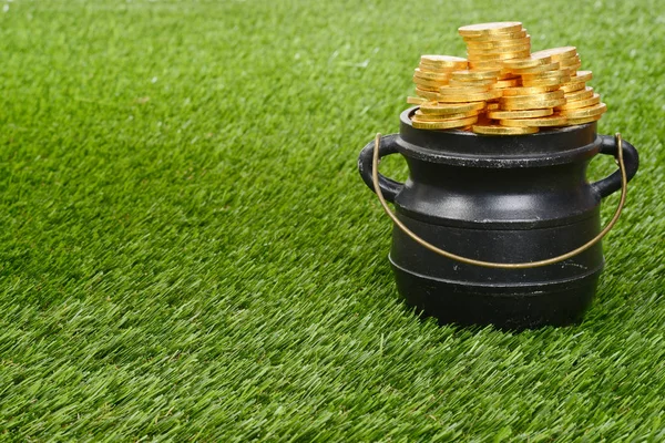 Pot of gold on grass — Stock Photo, Image