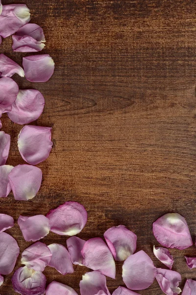 Roze roze bloemblaadjes een rand maken — Stockfoto