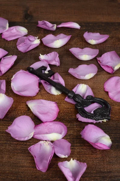 Closeup black key with rose petals — Stock Photo, Image