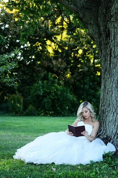 Mulher Tule Branco Vestido Leitura Livro Inclinando Árvore — Fotografia de Stock