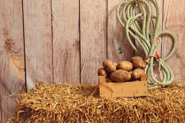 Russet Potatoes Wood Box Straw Bale — Stock Photo, Image