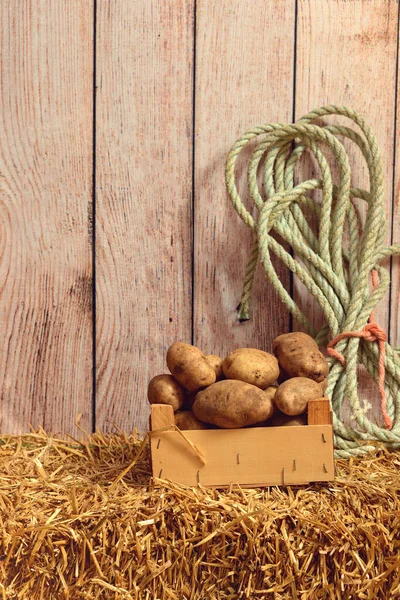 干し草の上のロープ付きの木箱のジャガイモ — ストック写真