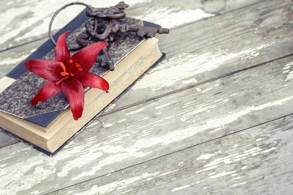 Vermelho Lily (desambiguação), livro e chaves — Fotografia de Stock