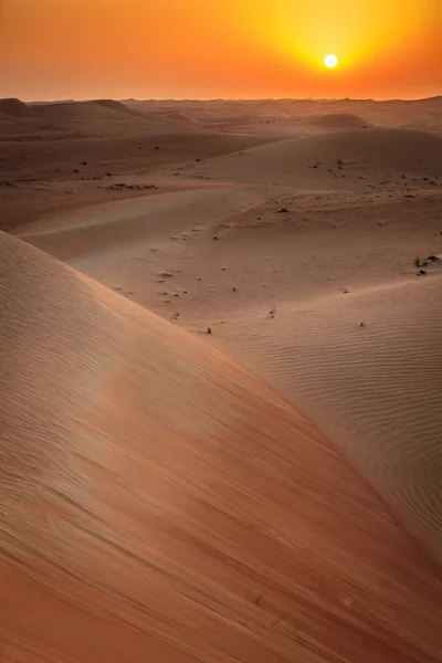 Sol saliendo sobre dunas —  Fotos de Stock