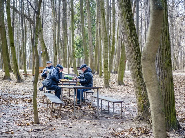 Pensionärer spelar schack — Stockfoto