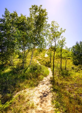 Hiking trail uyuyan ayı Dunes içinde