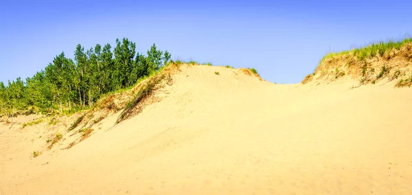 Trilha através das dunas — Fotografia de Stock