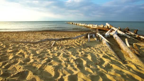 Пляж озера Суздаль — стоковое видео