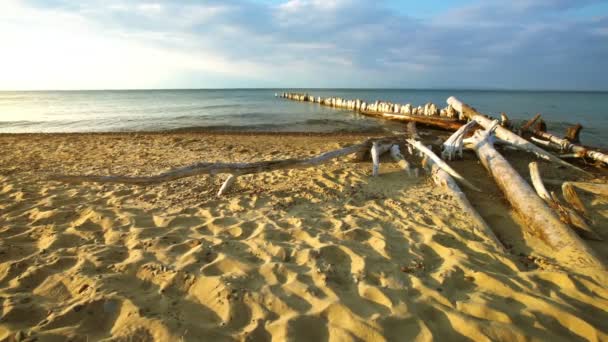 Playa del Lago Superior — Vídeo de stock