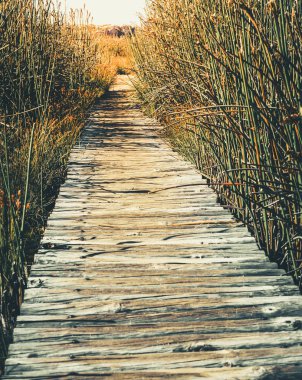 uzun otların ile yürüme yolu