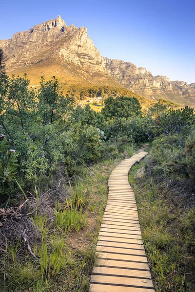 Trilha de caminhadas na Cidade do Cabo — Fotografia de Stock