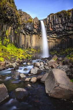 İzlanda'daki svartifoss şelale