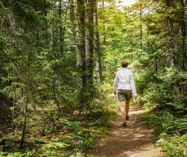 Una donna cammina nel parco — Foto Stock