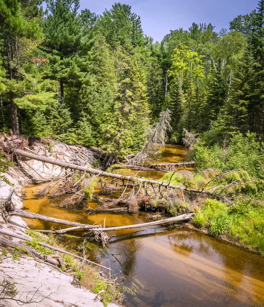 Ruisseau dans la forêt dans Pictured Rocks — Photo