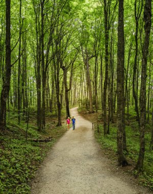 iki madenciler şelalelerine bir iz üzerinde yürüyor