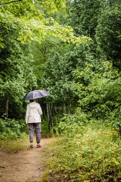 Mujer con paraguas es senderismo —  Fotos de Stock