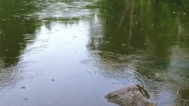 Upper Peninsula Michigan under regn — Stockvideo