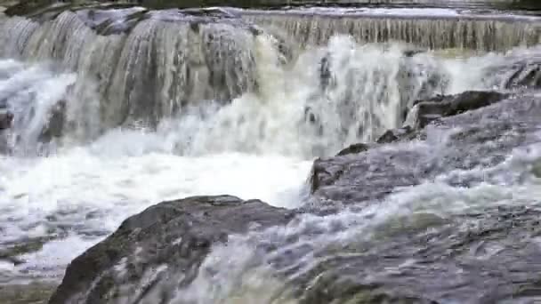 Bond Falls in Upper Peninsula — Stock Video