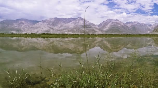 在努布拉河谷在拉达克湖 — 图库视频影像