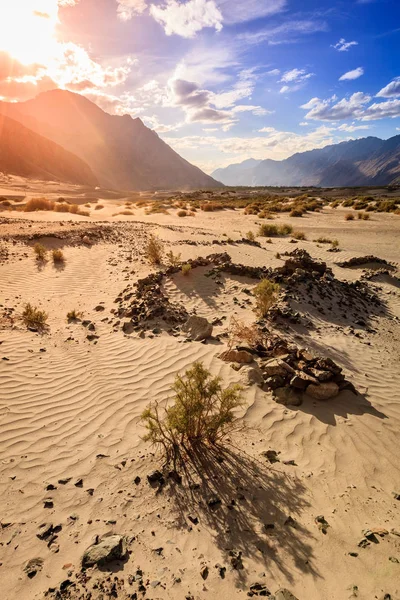 Údolí Nubra písečné duny — Stock fotografie