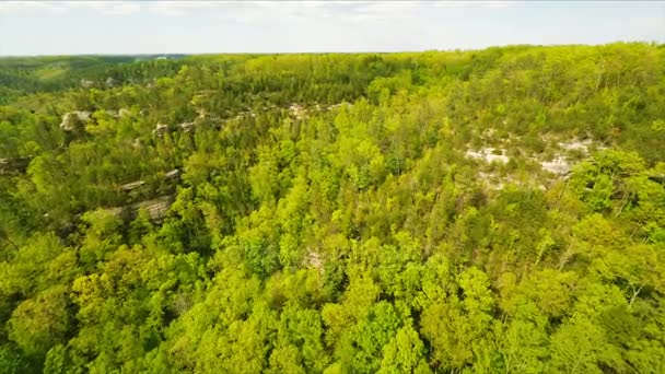 Red River Gorge — Stok video