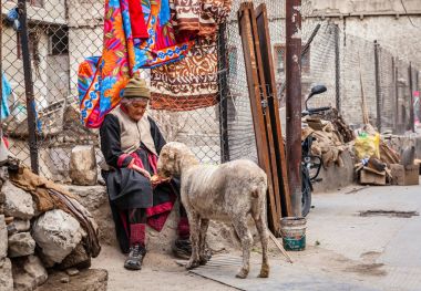 Sokak sahne Leh, Ladakh, Hindistan
