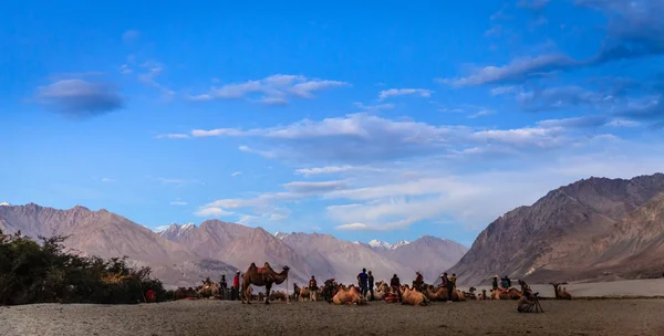 Sera in Valle di Nubra — Foto Stock