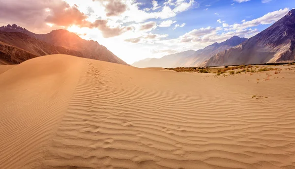 Písečné duny v údolí Nubra — Stock fotografie