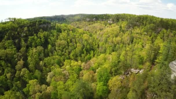 Red River Gorge — Stockvideo