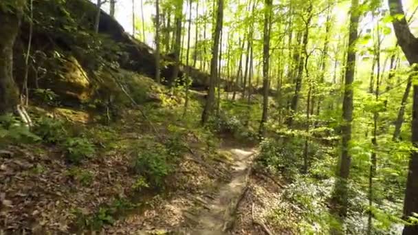 Hiking in Red River Gorge — Stock Video