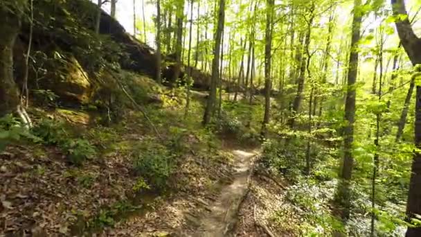 Randonnée pédestre dans les gorges de la rivière Rouge 