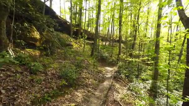 Hiking in Red River Gorge — Stock Video