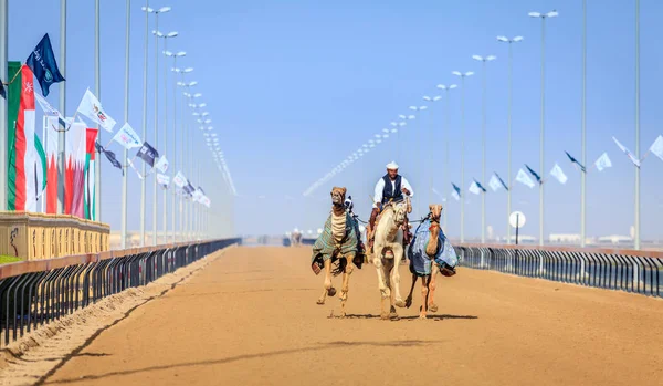 Kamelrennen in Dubai — Stockfoto