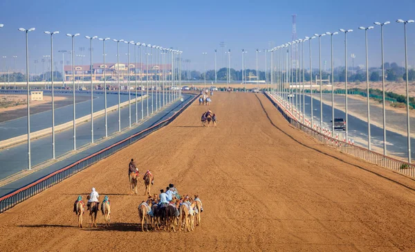 Cammello pista da corsa a Dubai — Foto Stock