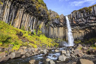 İzlanda'daki svartifoss şelale