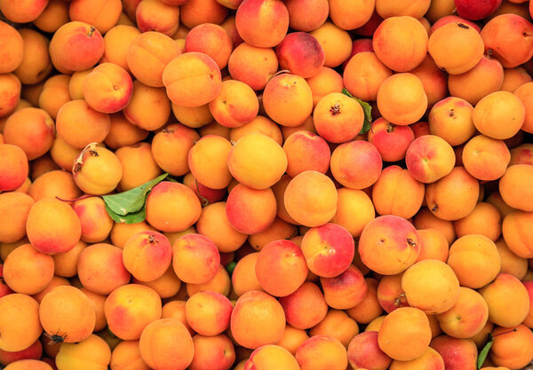 Fresh apricots at a street market 