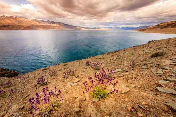 Lago alpino Tso Moriri en el Himalaya — Foto de Stock