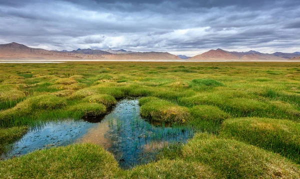 Lago salato Tso Kar — Foto Stock